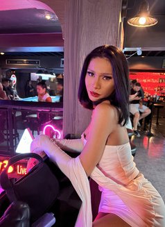 Lin - Transsexual escort in Bangkok Photo 16 of 16