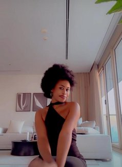 Super Sweet Petra - escort in Bangkok Photo 1 of 6