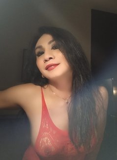 IM PROMISED YOU"LL ADDICTED to me - Transsexual escort in Bali Photo 12 of 24
