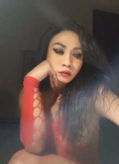 IM PROMISED YOU"LL ADDICTED to me - Transsexual escort in Bali Photo 13 of 24