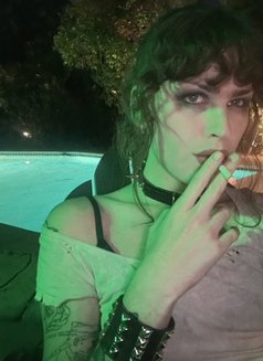 Supreme Zoey - Transsexual escort in Dublin Photo 5 of 9