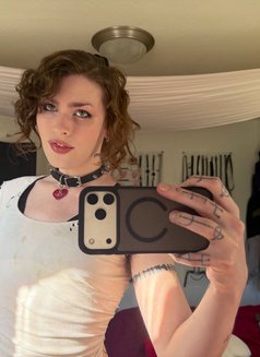 Supreme Zoey - Transsexual escort in Dublin Photo 8 of 9