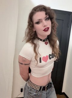 Supremezoey - Transsexual escort in Beijing Photo 3 of 7