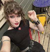 Supremezoey - Acompañantes transexual in Singapore