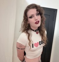 Supremezoey - Transsexual escort in Amsterdam