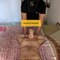 Genuine clients text me please - Male escort in Jaipur