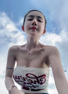 Surij full services Anal sex - escort in Doha Photo 9 of 12