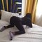 Susan - escort in Nairobi Photo 2 of 2