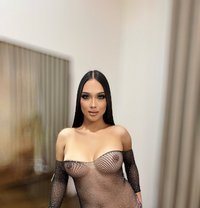 Susie Big Boobs Good Top - Acompañantes transexual in Khobar