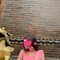 Susmita Independent Girl - escort in Surat