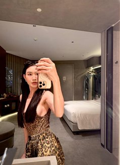 Susu Chinese Girl Available - escort in Bangkok Photo 1 of 7