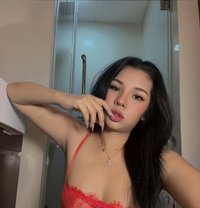 Susu New Girl - escort in Bangkok