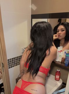 Susu New Girl - escort in Bangkok Photo 13 of 27