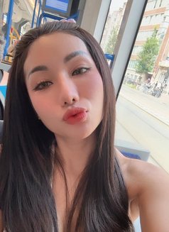 Susy Iscool2 - escort in Phuket Photo 3 of 18