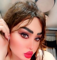 Suzan - Transsexual escort in Damascus