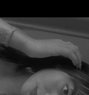 Suzanne025 - Transsexual escort in Mumbai Photo 1 of 2