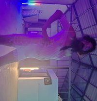 Suzy Su Tranie - Transsexual escort in Pattaya