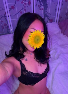 Suzymea - escort in Dakar Photo 1 of 4