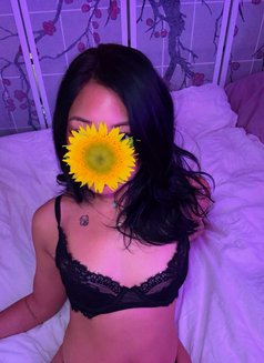 Suzymea - escort in Dakar Photo 3 of 4