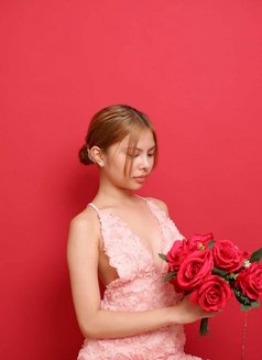 Sv Angels Escort - escort in Manila Photo 13 of 29