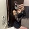 Svetlana🇷🇺 - Transsexual escort in Riyadh