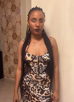 Swafiya 🟢 Ahmed 🦋 Arab - escort in Nairobi Photo 12 of 13