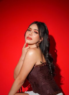 Sweet Annisa - Acompañantes transexual in Manila Photo 2 of 10