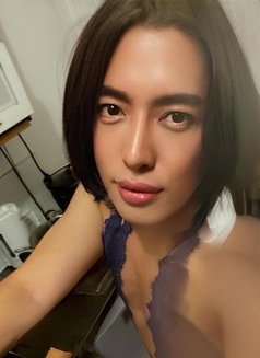 Sweet Asian - Transsexual escort in Paris Photo 1 of 3