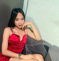 Sweet Bby - Acompañantes transexual in Manila