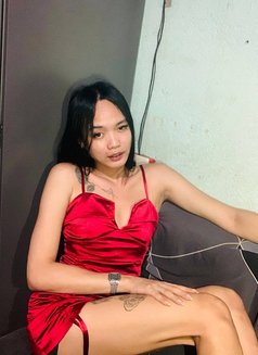 Sweet Bby - Acompañantes transexual in Manila Photo 7 of 7
