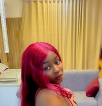 Sweet Bee - escort in Dubai