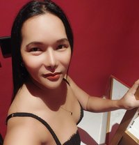 Sweet Candy - Transsexual escort in Singapore