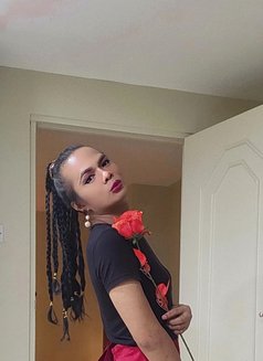 Sweet Cola32 - Transsexual escort in Riyadh Photo 20 of 26