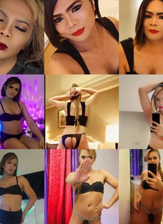 Sweet Cola32 - Acompañantes transexual in Riyadh Photo 29 of 29