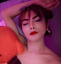 Sweet Cola32 - Transsexual escort in Riyadh