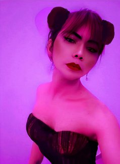 Sweet Cola32 - Transsexual escort in Riyadh Photo 25 of 30