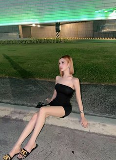 Sweet Faith - escort in Taipei Photo 22 of 23