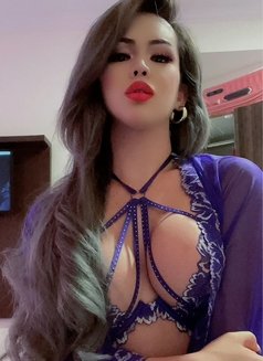 Last 3 days - Transsexual escort in Colombo Photo 18 of 30