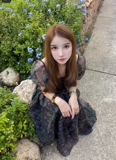 sweet girl here - escort in Bangkok Photo 20 of 20