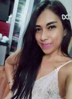 Sweet Gladys - Transsexual escort in Jakarta Photo 1 of 8