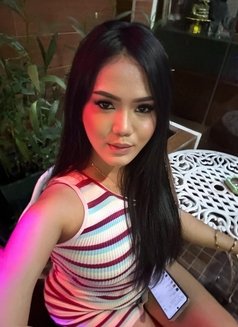 Sweet Hard Ts - Transsexual escort in Bangkok Photo 20 of 22