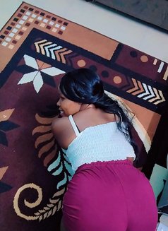 Sweet Horny Dripping Wet Pussy Girl Lill - escort in Bangalore Photo 5 of 7
