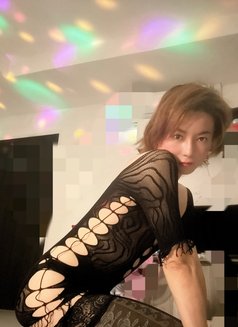 Sweet Hot Ts Jea in Chiang Mai - Acompañantes transexual in Chiang Mai Photo 15 of 15