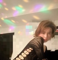 Jea - Transsexual escort in Chiang Mai