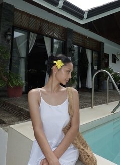 SWEET ISLAND GIRL - escort in Manila Photo 7 of 8