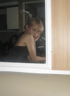 Sweet Jules (GFE), camshow - Acompañantes transexual in Manila Photo 1 of 5
