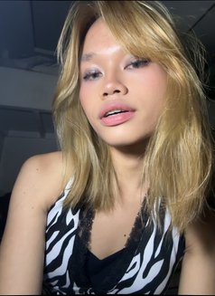 Sweet Jules (GFE), camshow - Acompañantes transexual in Manila Photo 3 of 5