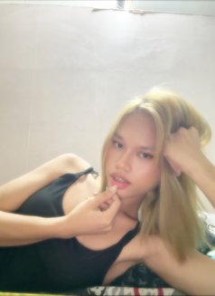 Sweet Jules (GFE), camshow - Acompañantes transexual in Manila Photo 4 of 5
