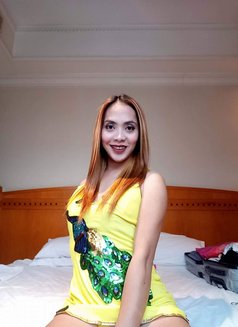 Sweet Ladyboy Kate (just arrived) - Transsexual escort in Tokyo Photo 13 of 16