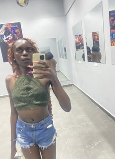 Sweet Lily - Transsexual companion in Kisumu Photo 5 of 7